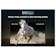 TCL 55V6C-UK #10