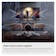 Samsung HW-Q990F #6