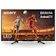 Sony KD32W800P1U 32