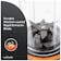 Nutribullet NB-500G #6